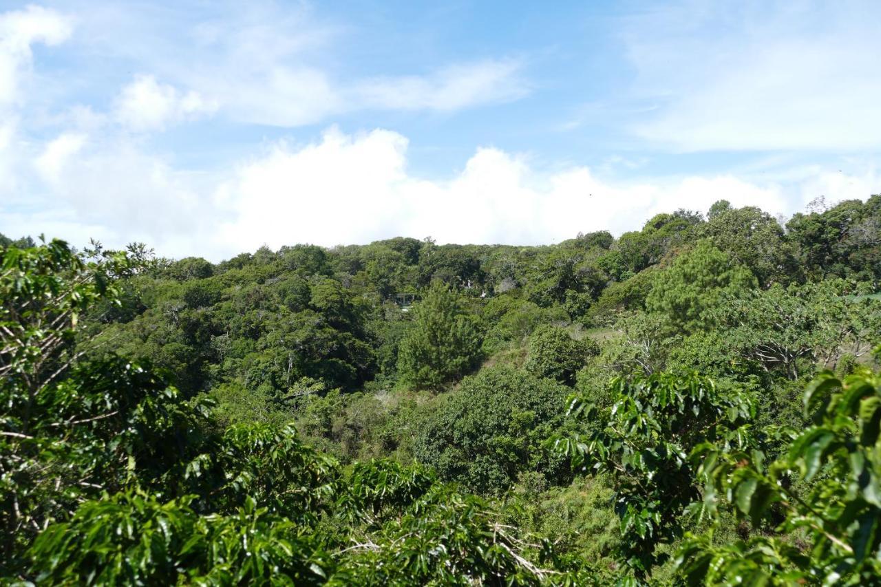 Casitas Vista Verde Bajo Boquete Zewnętrze zdjęcie