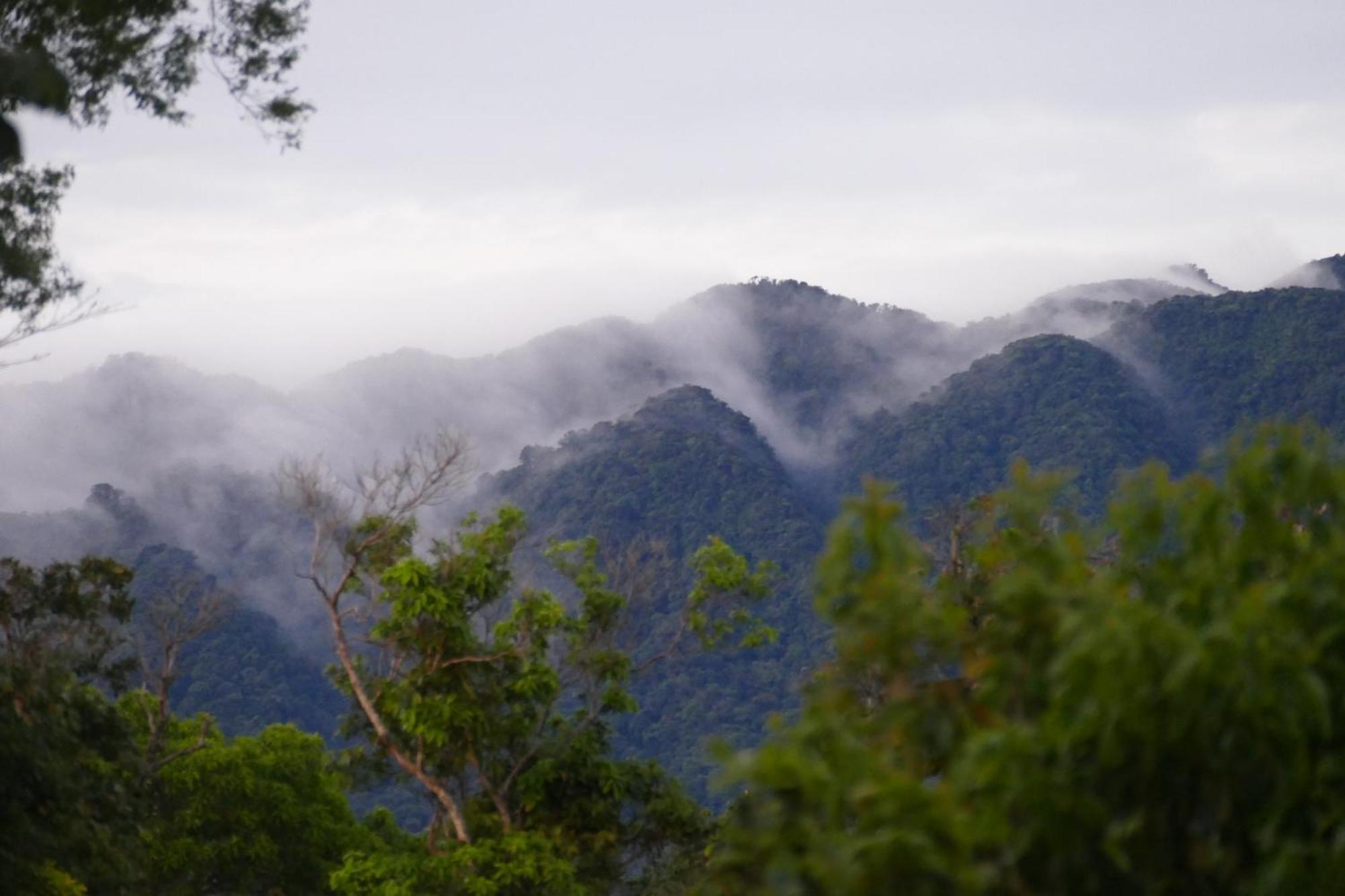 Casitas Vista Verde Bajo Boquete Zewnętrze zdjęcie