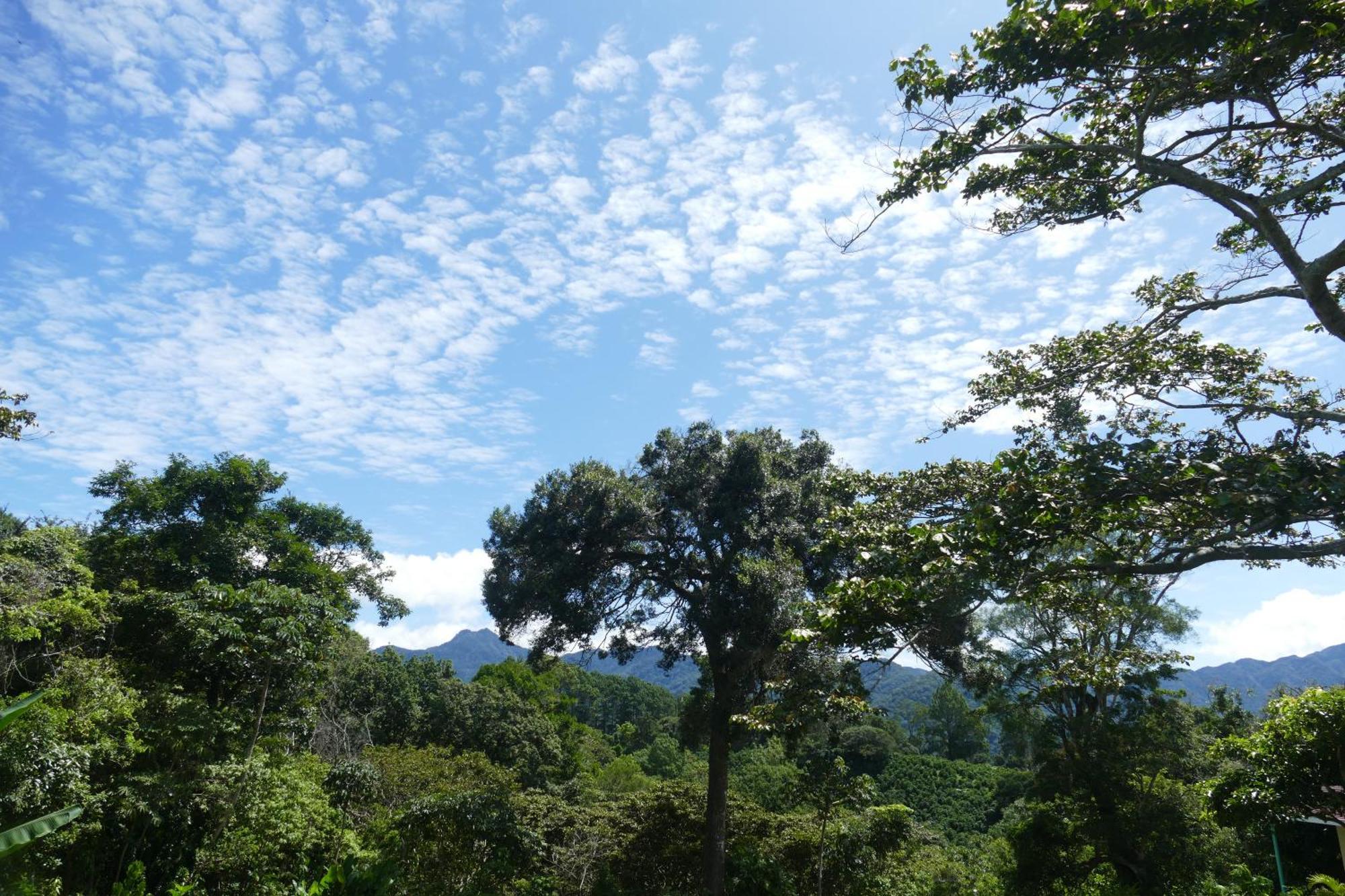 Casitas Vista Verde Bajo Boquete Zewnętrze zdjęcie